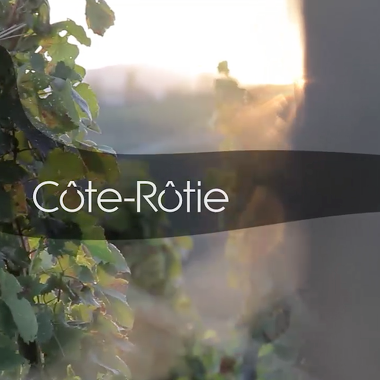 © Domaine Degache Frères - <em>http://www.coterotie-degache.fr/</em>
