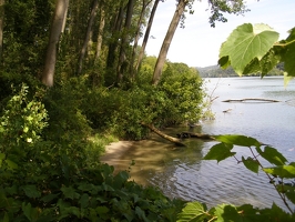 L'Ile du Beurre