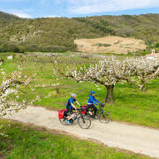 © ViaRhôna aux alentours de Tournon - <em>Christian Martelet - Auvergne-Rhône-Alpes Tourisme</em>