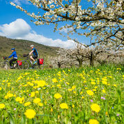 © ViaRhôna aux alentours de Tournon - <em>Christian Martelet - Auvergne-Rhône-Alpes Tourisme</em>