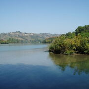 © Espace Naturel Sensible de la forêt alluviale de Gerbey - <em>Département de l'Isère</em>