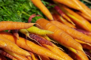 Marché hebdomadaire de Chasse-sur-Rhône