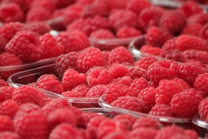 Marché hebdomadaire d’Échalas