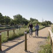 © Piste cyclable en Camargue, vers le Mas Thibert - <em>CRT PACA - T.Seray</em>