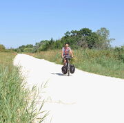 © Piste cyclable vers le Marais du Vigueirat et le Mas Thibert - <em>France Vélo Tourisme</em>