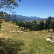 © Rencontres sur les chemins de randonnée au-dessus d'Annonay - <em>©EmilieVerdier</em>