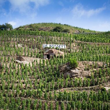 Vignobles De Boisseyt