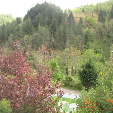 © Vue sur jardin 1 - <em>Catherine Fauré</em>