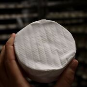 © Fromage de la Ferme des Bacholles - <em>DR Ferme des Bacholles</em>