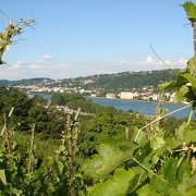 © Circuit de randonnée entre le fleuve du Rhône et les vignobles - <em>OT Vienne</em>