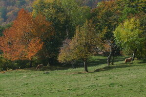 Parc Naturel Régional du Pilat