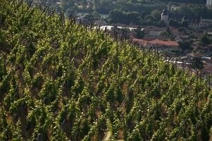 Escapade dans le vignoble de Côte-Rôtie