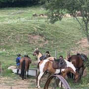 Gîte  d'étape et de séjour La Ferme de Médille