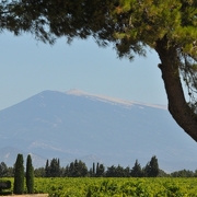 © Vue sur le Mont Ventoux - <em>Mas Mellou</em>