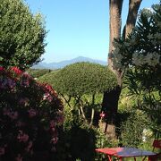 © Vue sur le Mont Ventoux - <em>Mas mellou</em>