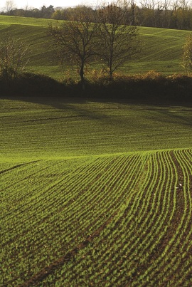 La vallée des jardins