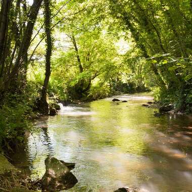Balade rafraichissante au fil de l'eau