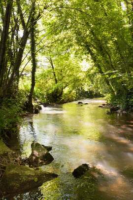 Balade rafraichissante au fil de l'eau