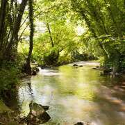 Eveil à la nature pour les tout-petits (0-3 ans)