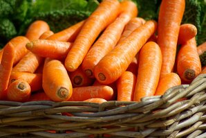 Marché hebdomadaire de septème