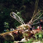 © Sentier Art et Nature sur le Sentier du Gorneton - 10ème Edition de la Biennale - <em>DR MJC Chasse et Seyssuel</em>