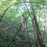 © Sentier Art et Nature sur le Sentier du Gorneton - 10ème Edition de la Biennale - <em>DR MJC Chasse et Seyssuel</em>