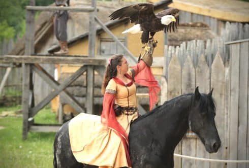 Fête historique de Vienne