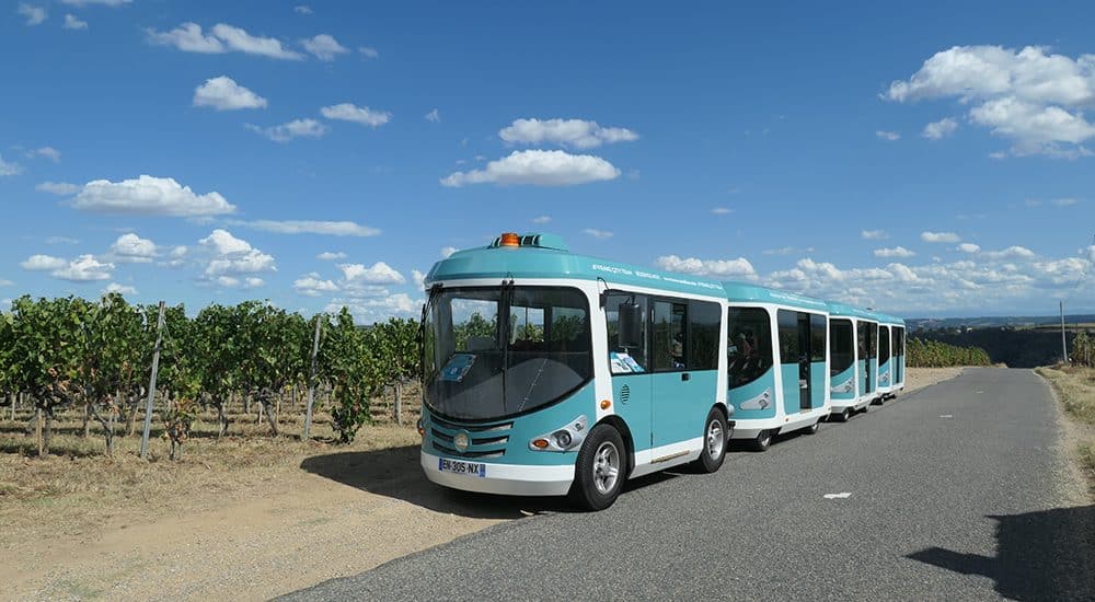 Petit train dans les vignes