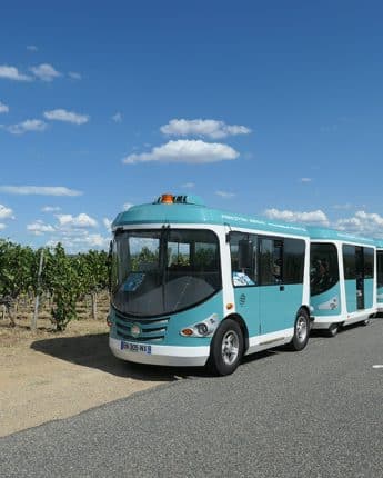 Petit train dans les vignes