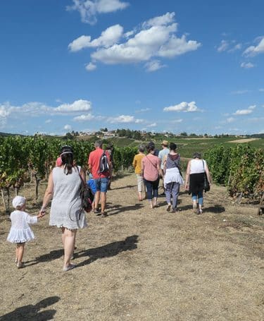 Balade dans les vignes