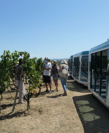 Vienne City Tram dans les vignes