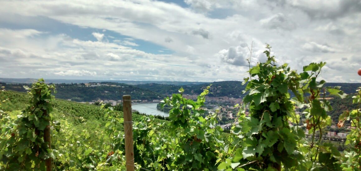Randonnées Vienne Condrieu