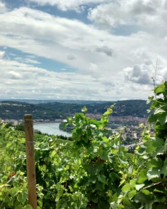 Randonnées Vienne Condrieu
