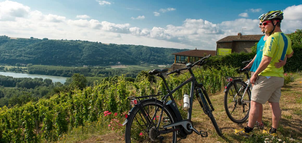 Couple à vélo dans les vignes
