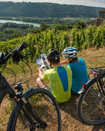 Couple à vélo dans les vignes