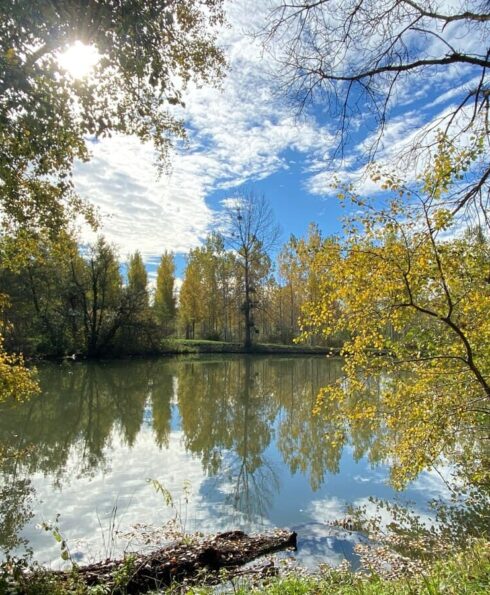 Plan d'eau dans la campagne viennoise