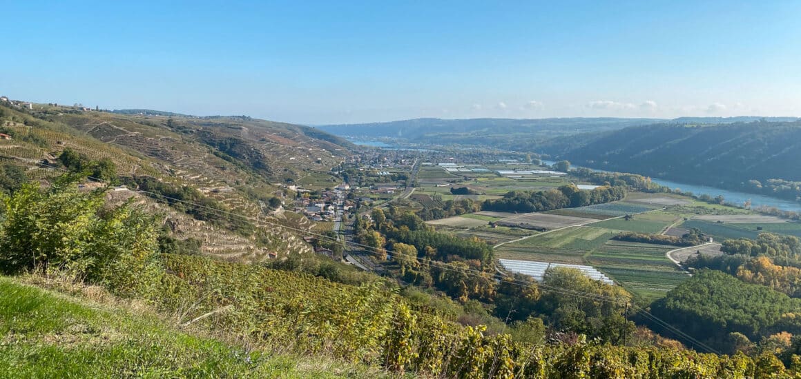 FWE_2020-10-18_tupin-et-semons-(3)