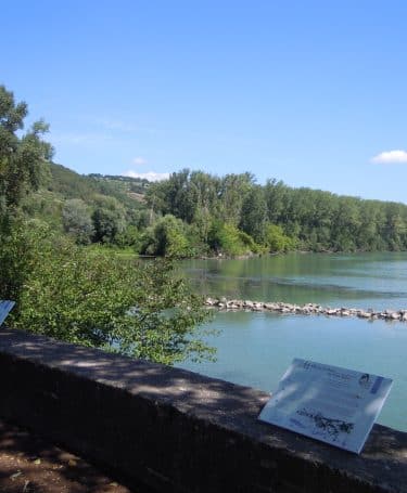 Ile du beurre Vienne Condrieu