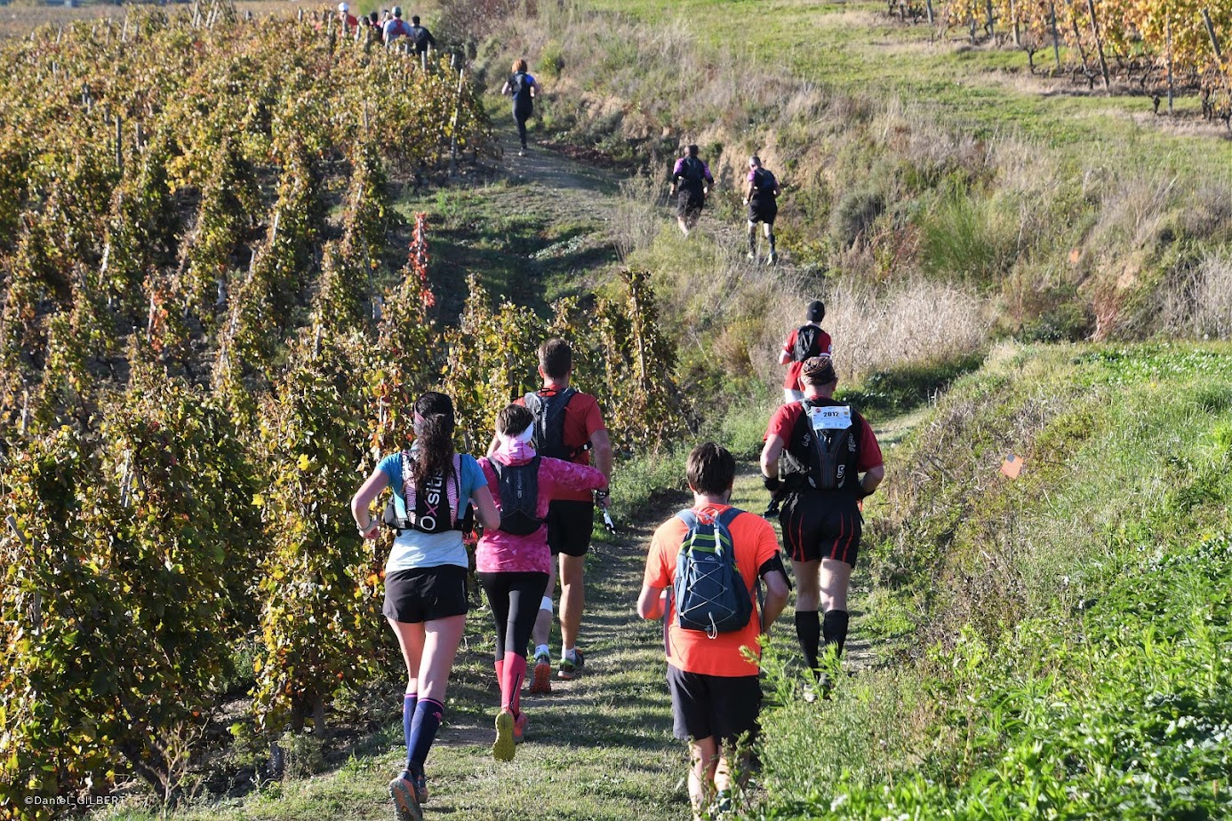 Trail en Côte-Rôtie