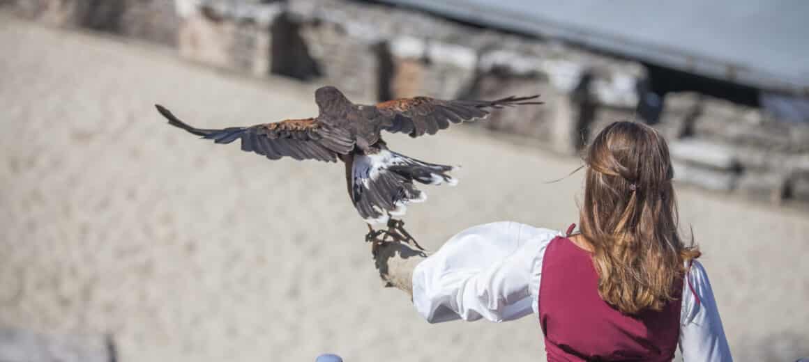 Fête Historique de Vienne 2018 © Association Vienne Historique (45)