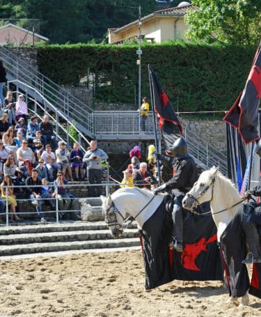 Médievales_Vienne_2017©Daniel_DURAND _HD(53)