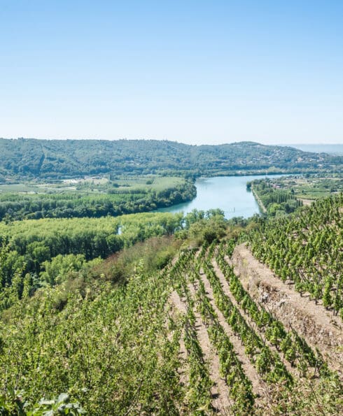 Shooting vignobles Tupins-et-Semons 08-2022 © Vienne Condrieu Tourisme (54)