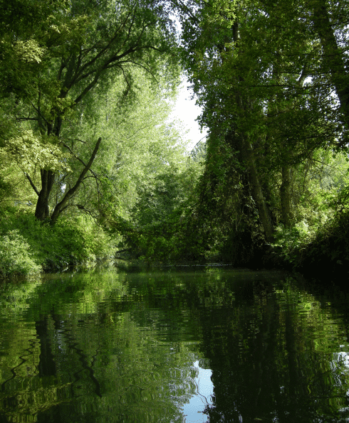 Nature