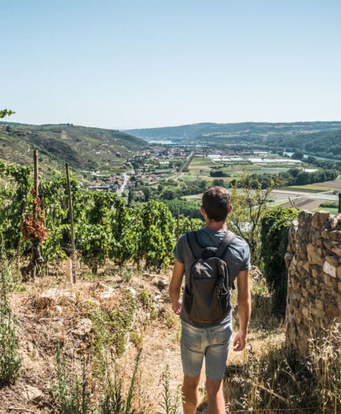 Jeune homme en balade dans les vignes