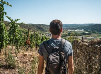 Shooting vignobles Tupins-et-Semons 08-2022 © Vienne Condrieu Tourisme (53)