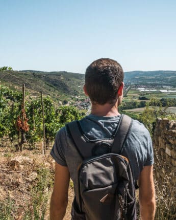 Shooting vignobles Tupins-et-Semons 08-2022 © Vienne Condrieu Tourisme (53)