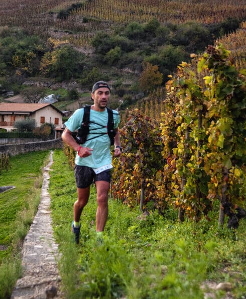 Trail en Côte-Rôtie