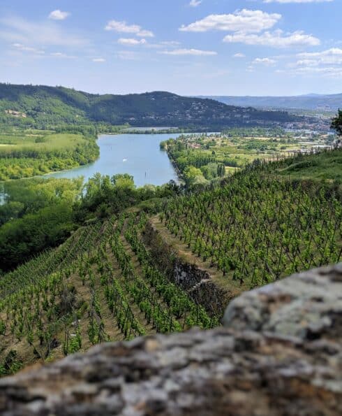 Vue sur les vignes et le Rhône