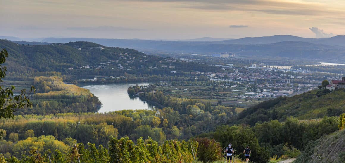 Vue sur le Rhône et les vignes, promeneurs au loin