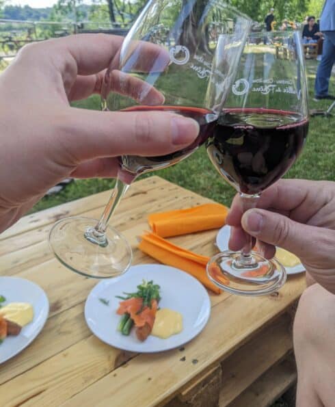 Personnes trinquant avec un verre de vin devant une petite table garnie de belles assiettes, en plein air